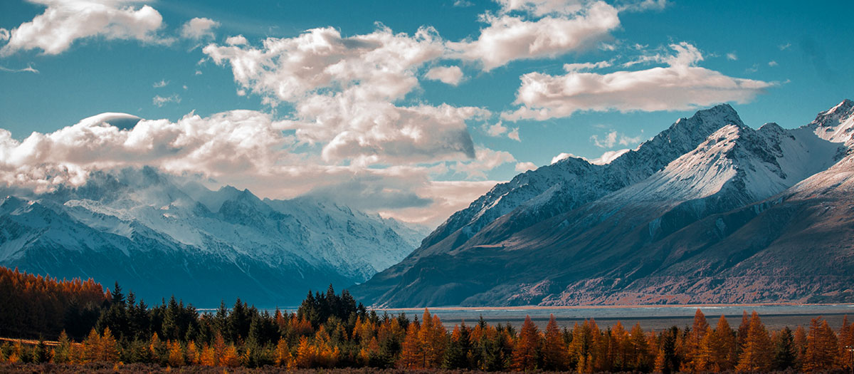 山